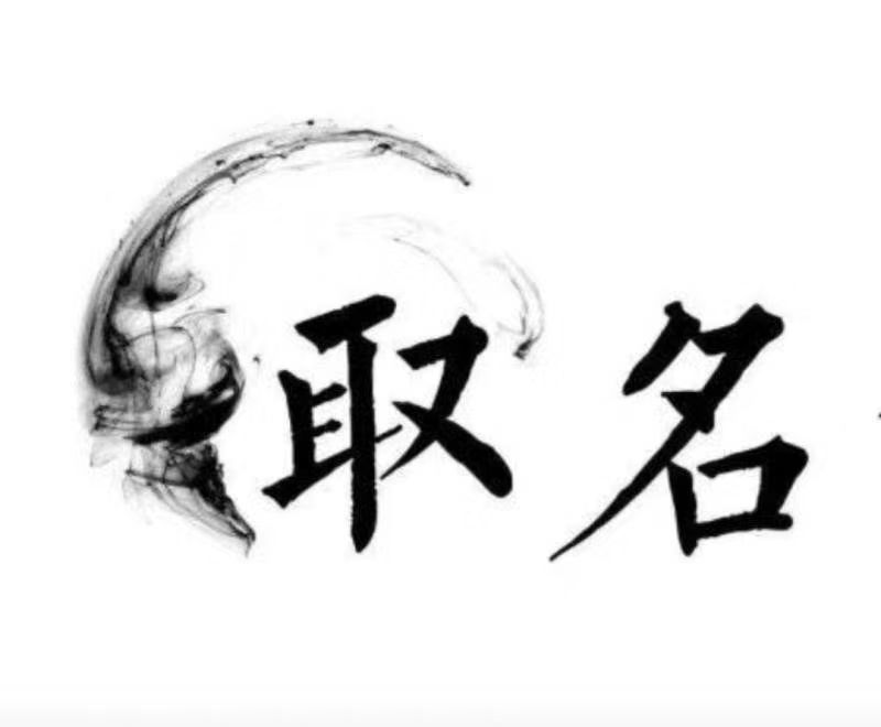  阳原宝宝取名 大师一对一人工起名
